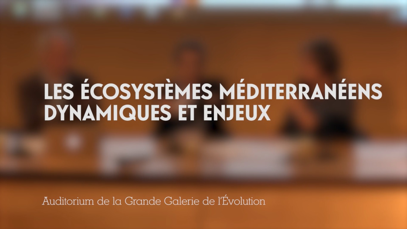 Les écosystèmes méditerranéens - Dynamiques et enjeux