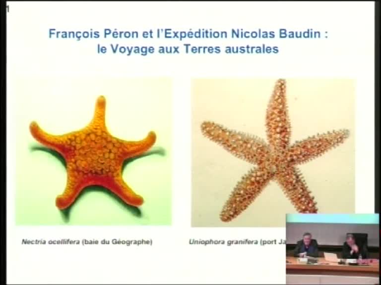 François Péron et l’expédition Nicolas Baudin : le voyage aux Terres australes (1800-1803)