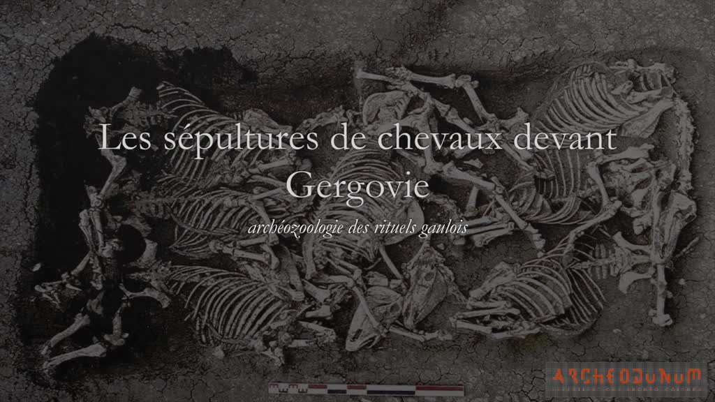 Sylvain Foucras - « L’énigme des sépultures de chevaux au pied de Gergovie »