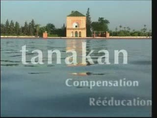 Tanakan - neuroplasticité, compensation, rééducation
