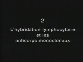 L'hybridation lymphocytaire et les anticorps monoclonaux