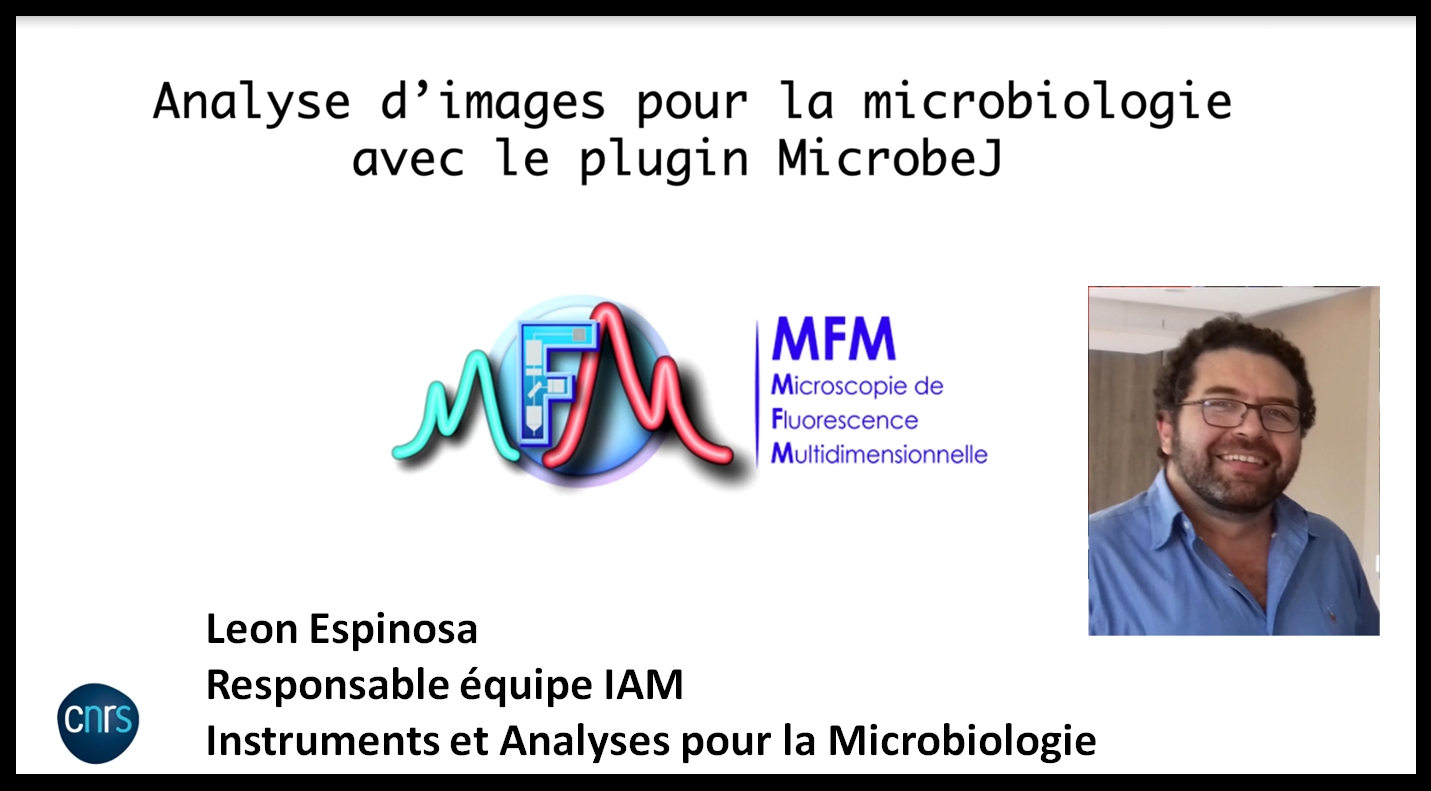 Analyse d'images pour la microbiologie avec le plugin MicrobJ