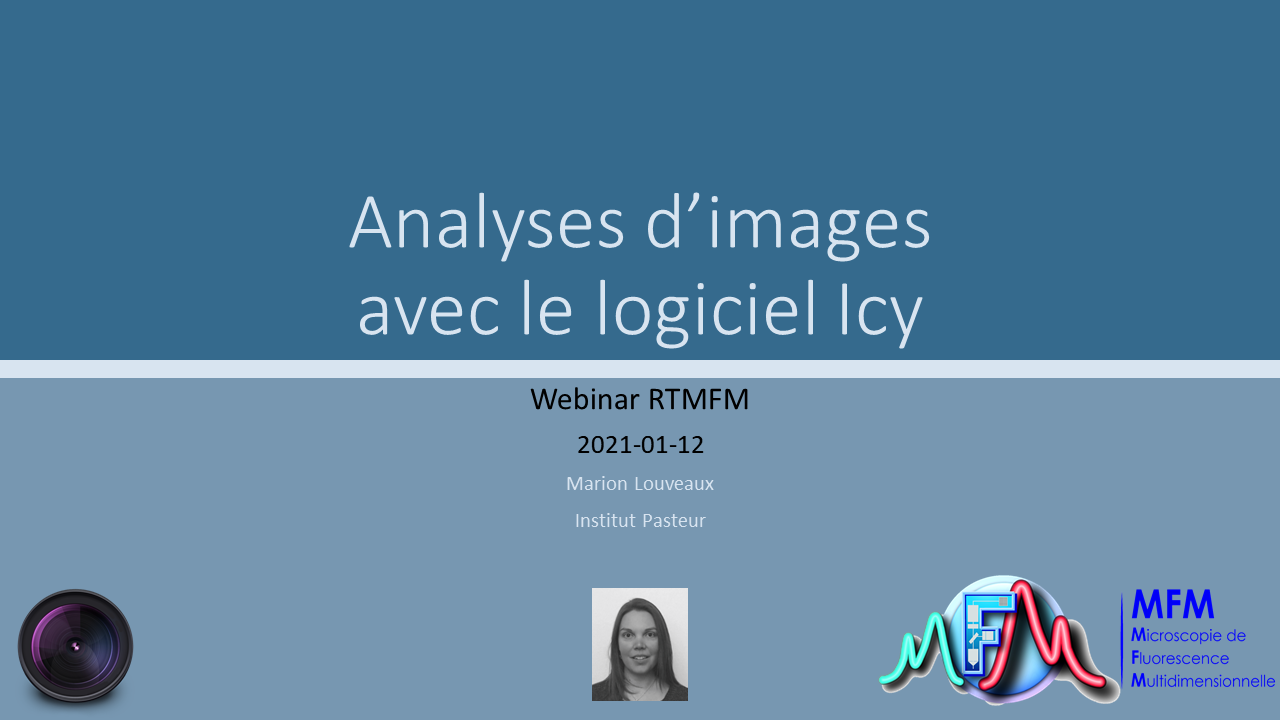 Analyses d'images avec le logiciel Icy