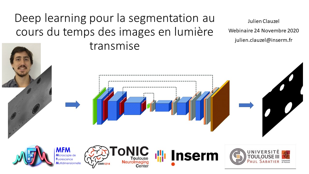 Deep learning pour la segmentation au cours du temps des images en lumière transmise