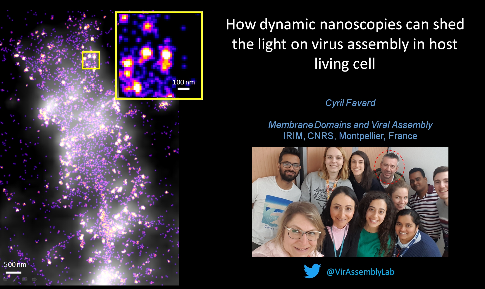 How dynamic nanoscopies can shed the light on virus assembly in host living cell