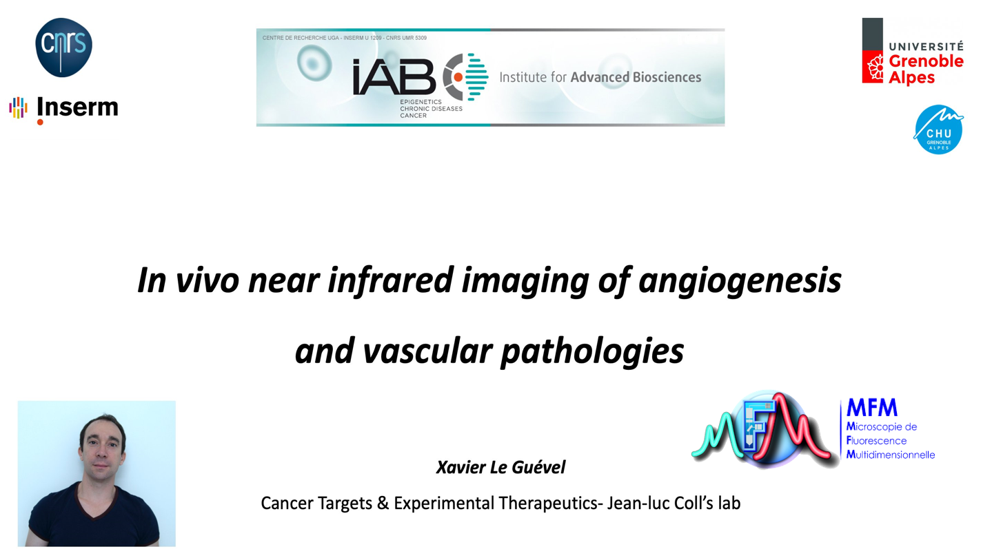 In vivo near infrared imaging of angiogenesis and vascular pathologies