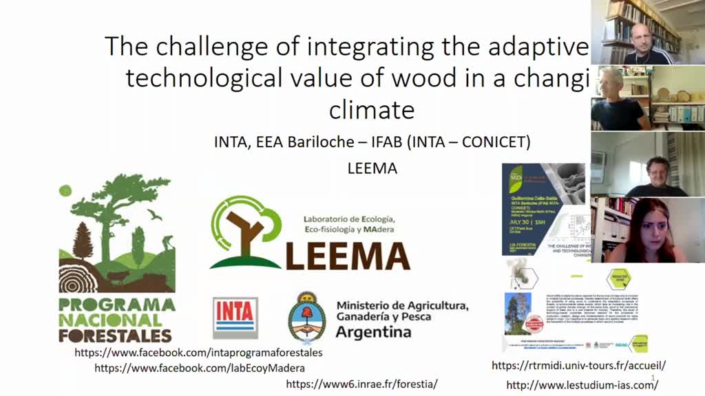 #3 The challenge of the integrating the adaptive and technological value of wood in a changing climate