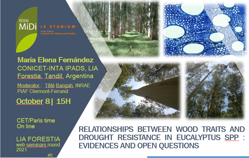 #5 Relationships between wood traits and drought resistance in Eucalyptus spp: evidences and open questions