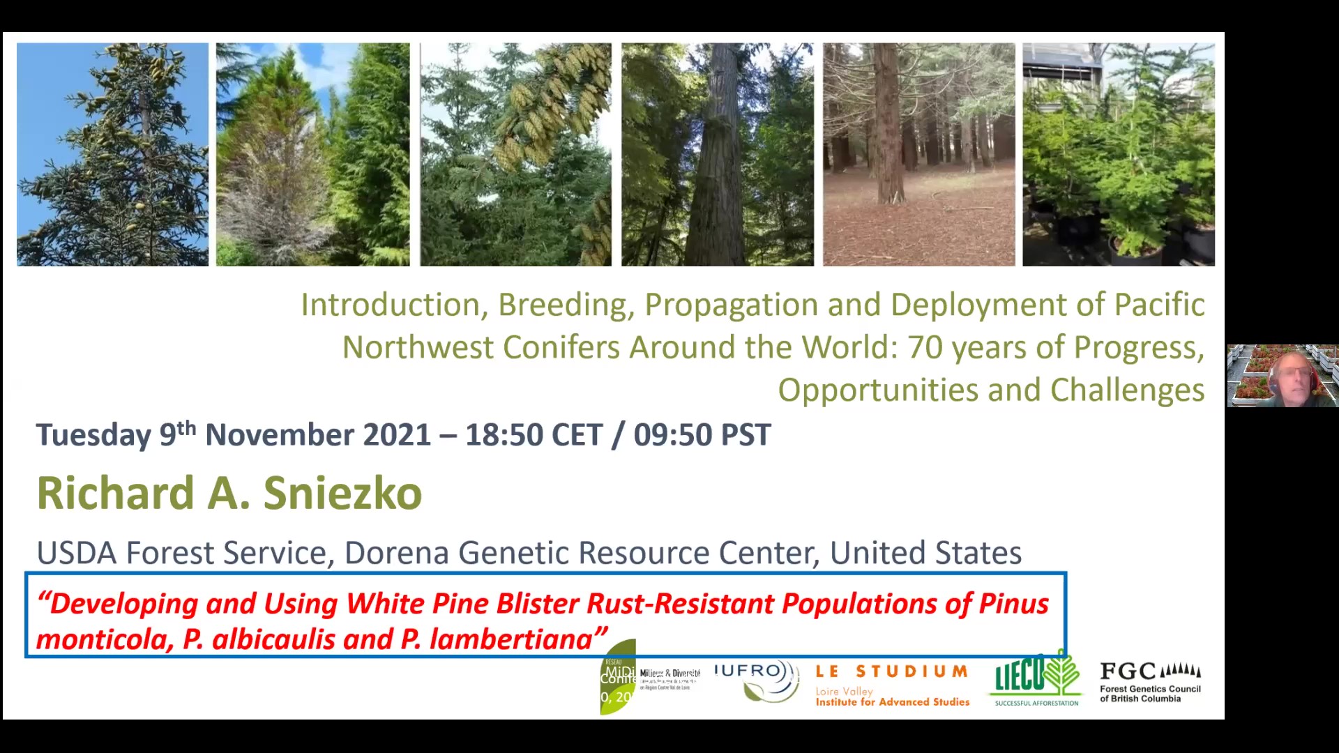 Developing and Using White Pine Blister RustResistant Populations of Pinus monticola, P. albicaulis and P. lamberti - Richard Sniezko
