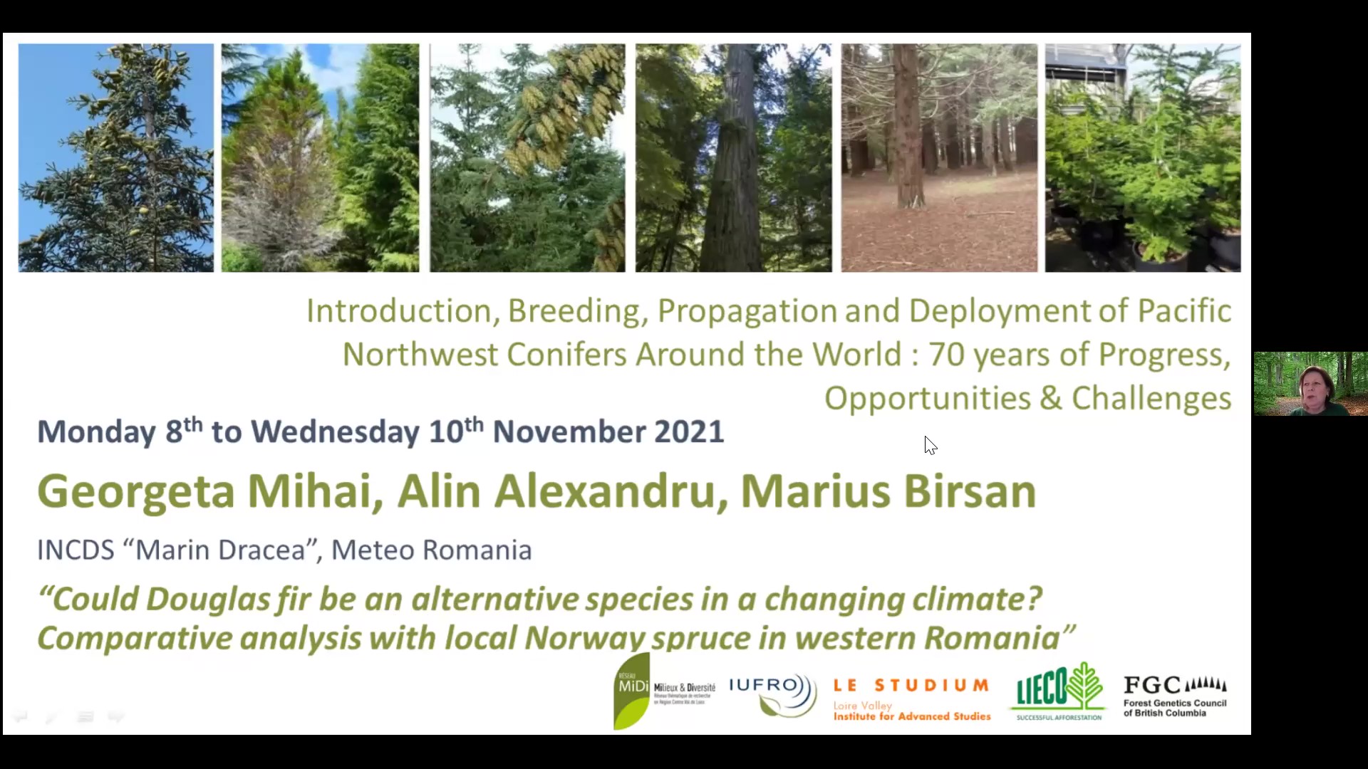 Could Douglas fir be an alternative species in a changing climate? Comparative analysis with local Norway spruce in western Romania -  Georgeta Mihai