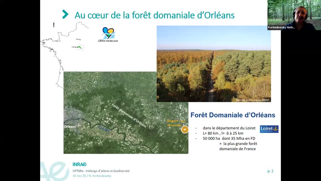 De la canopée au sol : OPTMix, un dispositif en forêt d’Orléans riche en enseignements pour la recherche et la gestion