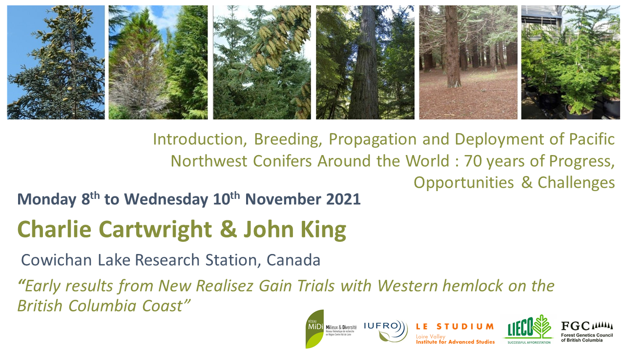Early Results from New Realized Gain Trials with Western Hemlock on the British Columbia Coast - Charlie Cartwright