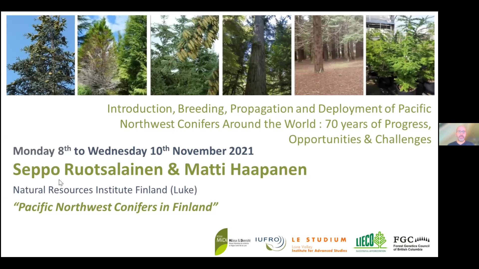 Experiences with PNW Conifers in Finland- Seppo Ruotsalainen