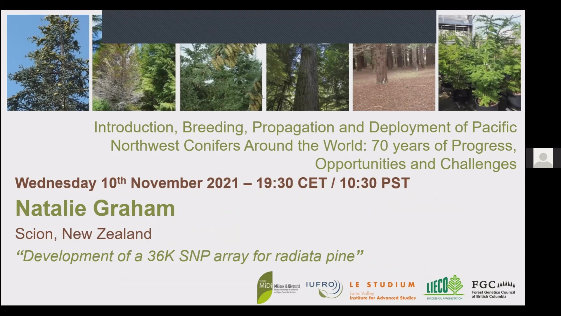 Development of a 36K SNP array for radiata pine - Natalie Graham