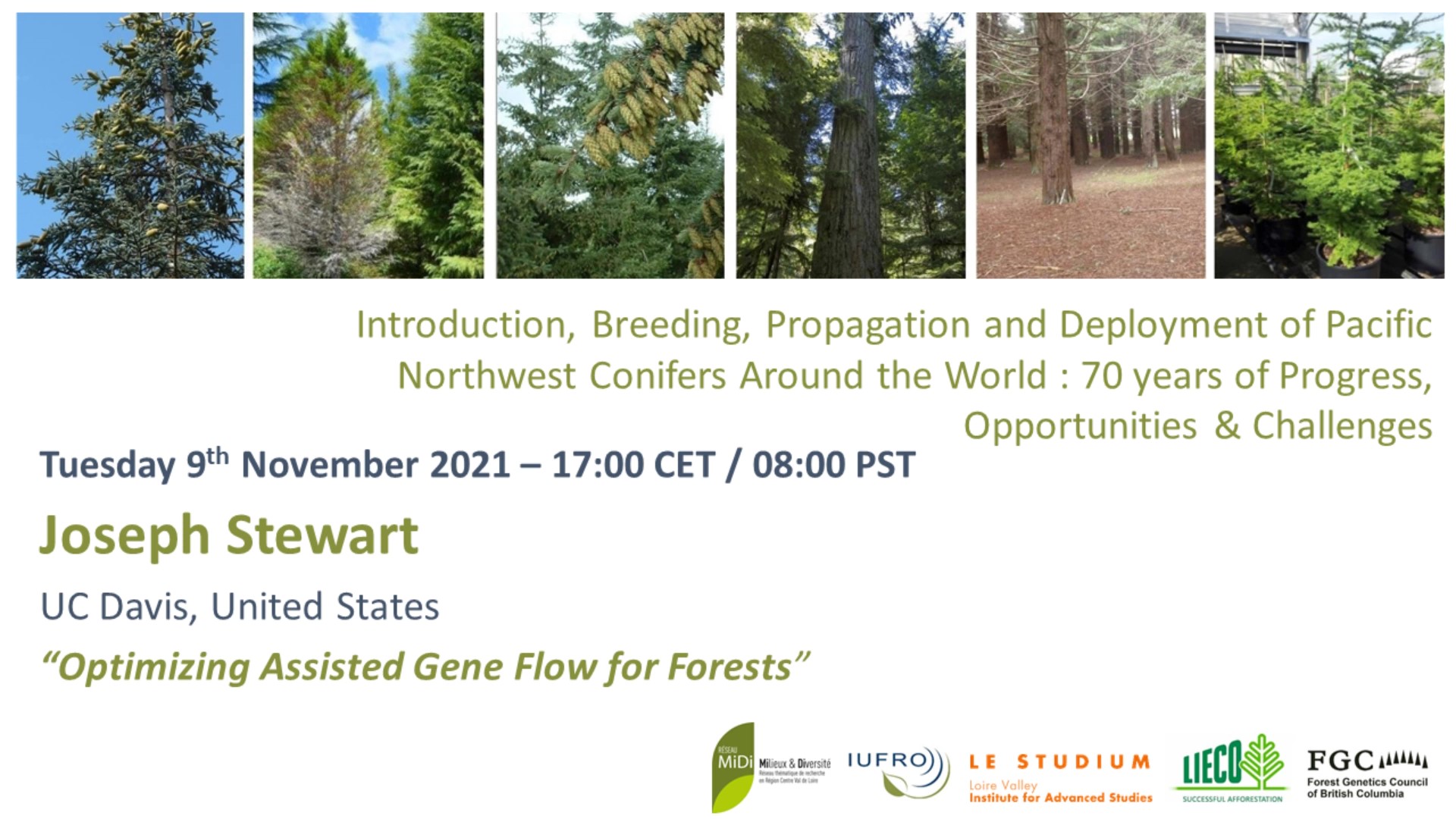 Optimizing Assisted Gene Flow for Forests - Joseph Stewart
