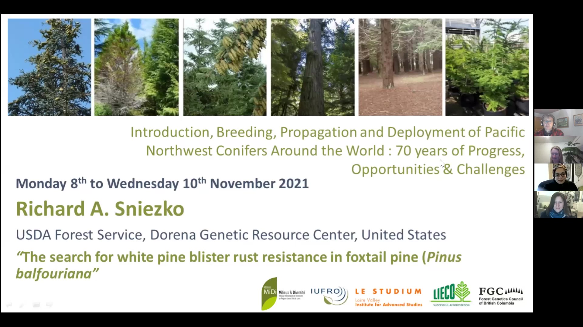 Searching for White Pine Blister Rust Resistance in Foxtail Pine (Pinus balfouriana) - Richard Sniezko