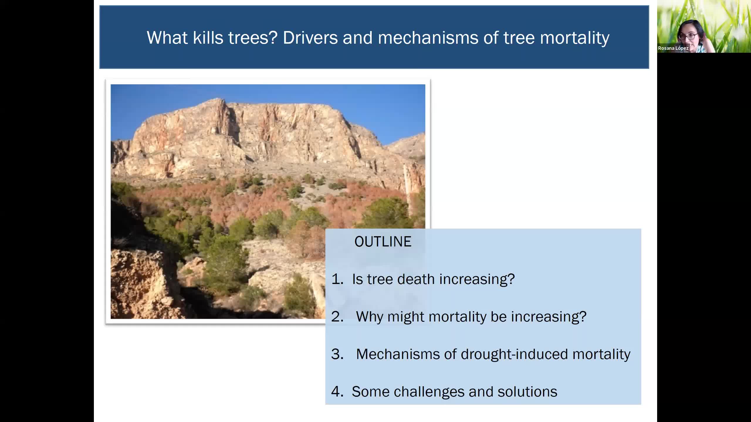 S3- What kills trees? Drivers and mechanisms of tree mortality