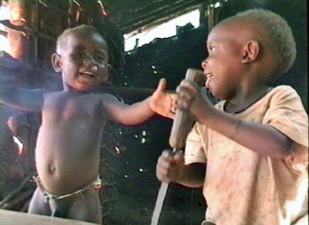 1993 Epelboin A. Chronique aka, 2 décembre 1993 Akungu, Lobaye RCA : dictature du petit cousin