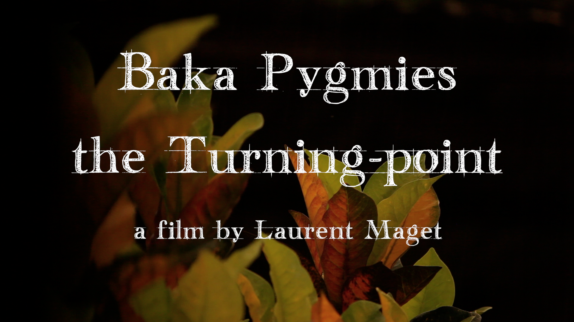 Baka Pygmies, the Turning point