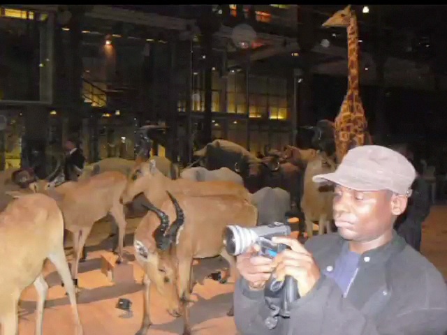 Chronique Aka, février 2008 : une journée au Muséum, filmée par Zoko Antoine, Pygmée de RCA
