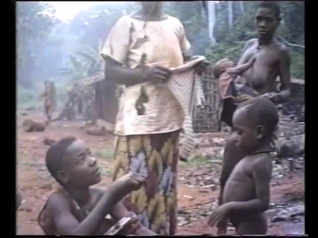 Chronique aka,février 1987, Akungu : négociations d'une Villageoise en quête de feuilles de koko (Gnetum africanum)