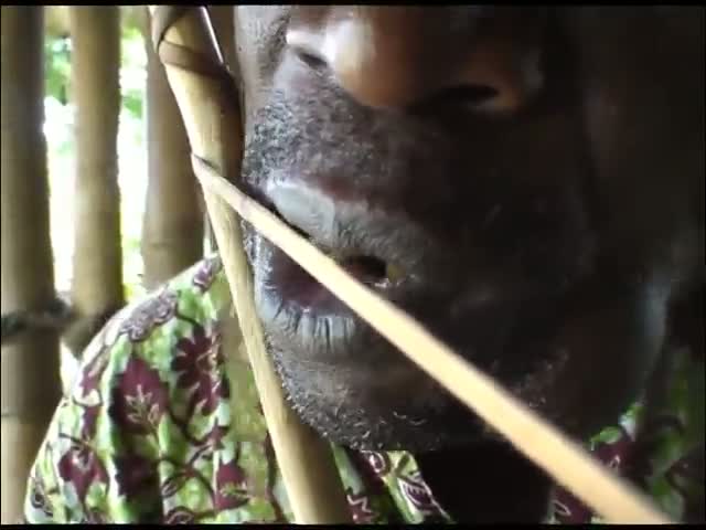 Chronique des pygmées babongo 2007 : pièce bwiti d’arc-en-bouche (de jour) par Makaho Maurice