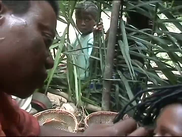 Chronique des Pygmées Bakoya 2006 : sortie de réclusion de la mère des jumeaux