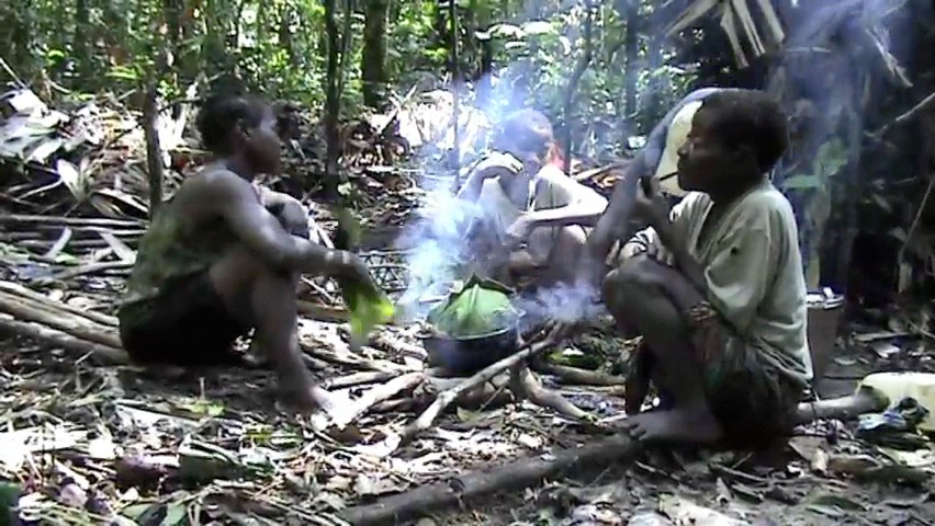 Chronique des Pygmées Bakoya, juillet 2007, Ekata, Ogooué-Ivindo, Gabon :
trois jours au campement de collecte de graines de “Panda oleosa”  
(Pandacées)