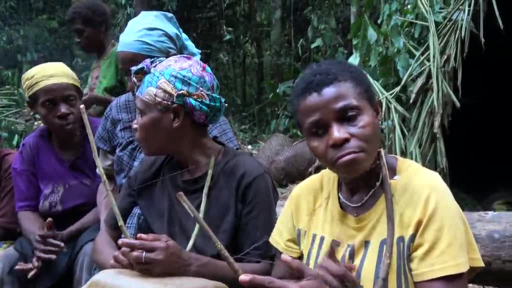 Chronique des Pygmées baka : musiciennes jouant de l'arc à deux cordes