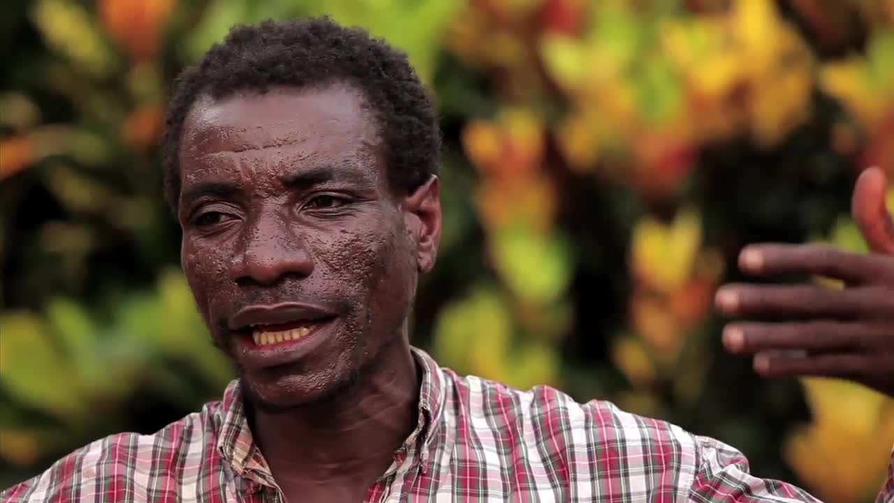 Chronique des Pygmées baka : Musiciens / Groupe Tibola 2012