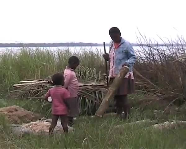 Chronique du littoral gabonais 2006 : pièges à poissons en bambou
