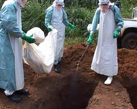 Ebola au Congo en décembre 2003 à Mbomo : virus, braconnier et fétiche