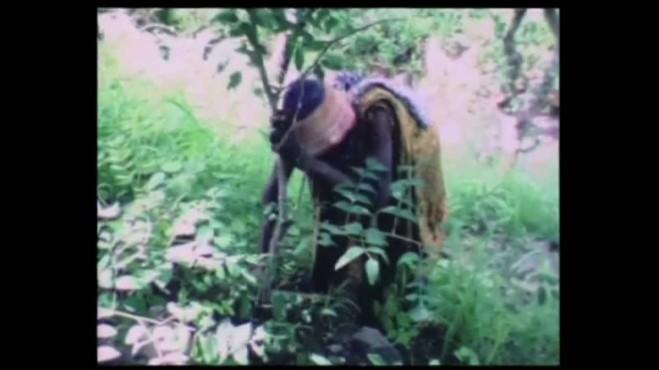 Guérissage de « maux de tout le corps » par effleurements, verbe et racines Ibel, Sénégal Oriental. 1983