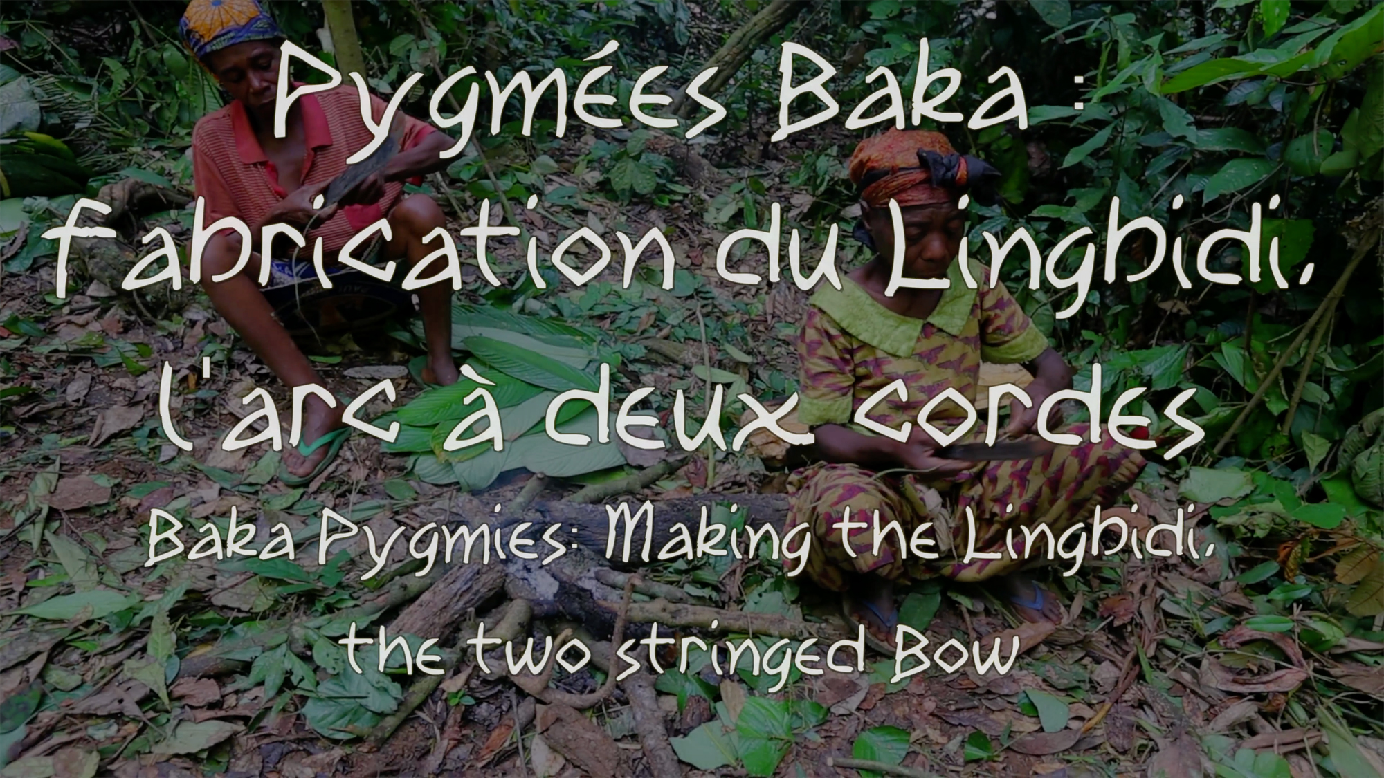 Chronique des Pygmées baka : Fabrication du Lingbidi, l'arc à deux cordes. 
Baka Pygmies : Making the Lingbidi.