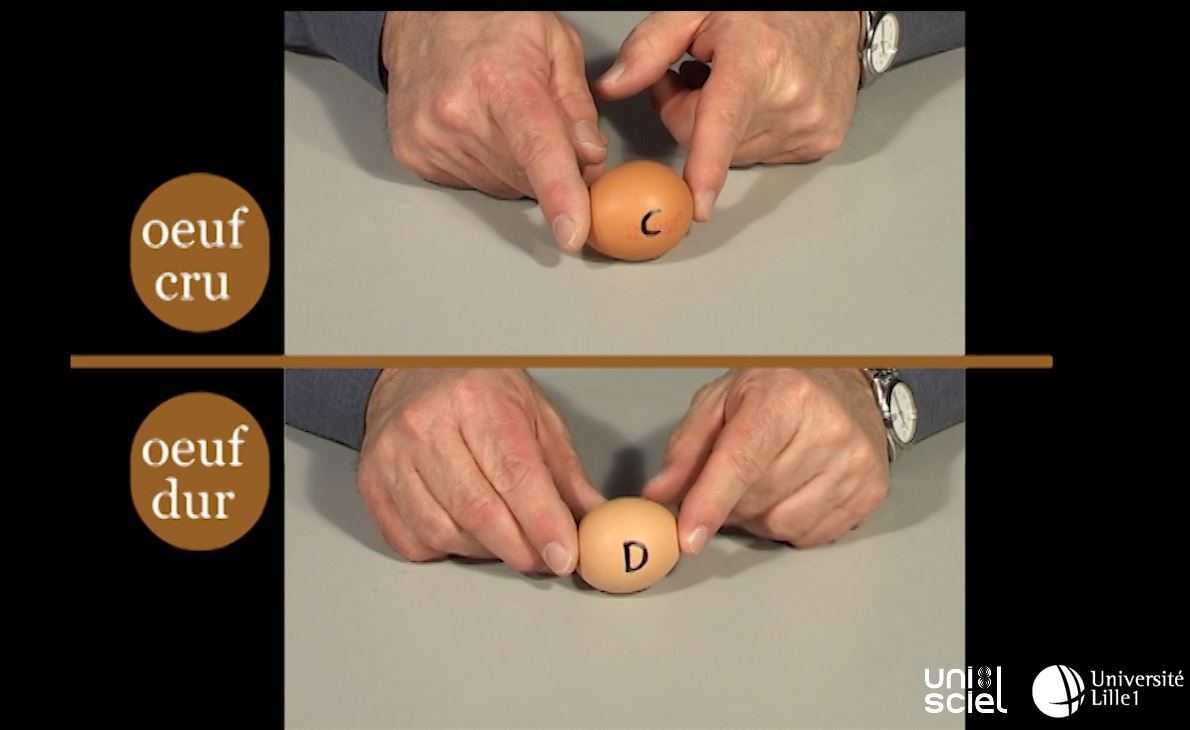 Test de l’œuf : cuit ou cru ?