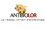 API 2010 Nancy : Antibiothérapie par voie générale dans les infections respiratoires