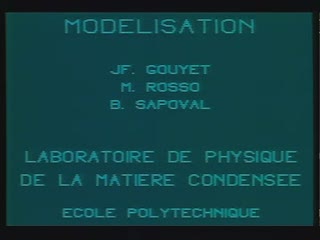 Structure fractale d'un front de diffusion (1985)