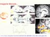 Le cerveau de cristal: apport du magnétisme à l'imagerie cérébrale - Denis Le Bihan