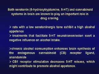 5.Implication des systèmes cannabinoïdes et sérotoninergiques ds l'appétence pr l'alcool/la souris