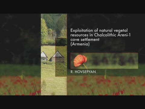 Exploitation of natural vegetal resources in chalcolithic areni-1 cave (Armenia) / R. Hovsepyan