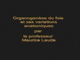 Organogenèse du foie et ses variations anatomiques