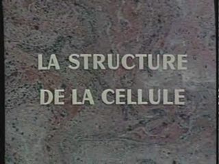 Structure de la cellule (1964)