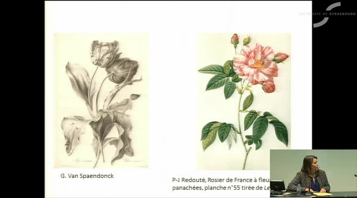 La révolution photographique dans l’enseignement traditionnel de la flore pour l’industrie textile (années 1850-1880).