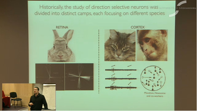 Visual Function / Evolution  : You are not in control: retinal and subconscious influences on visual processing