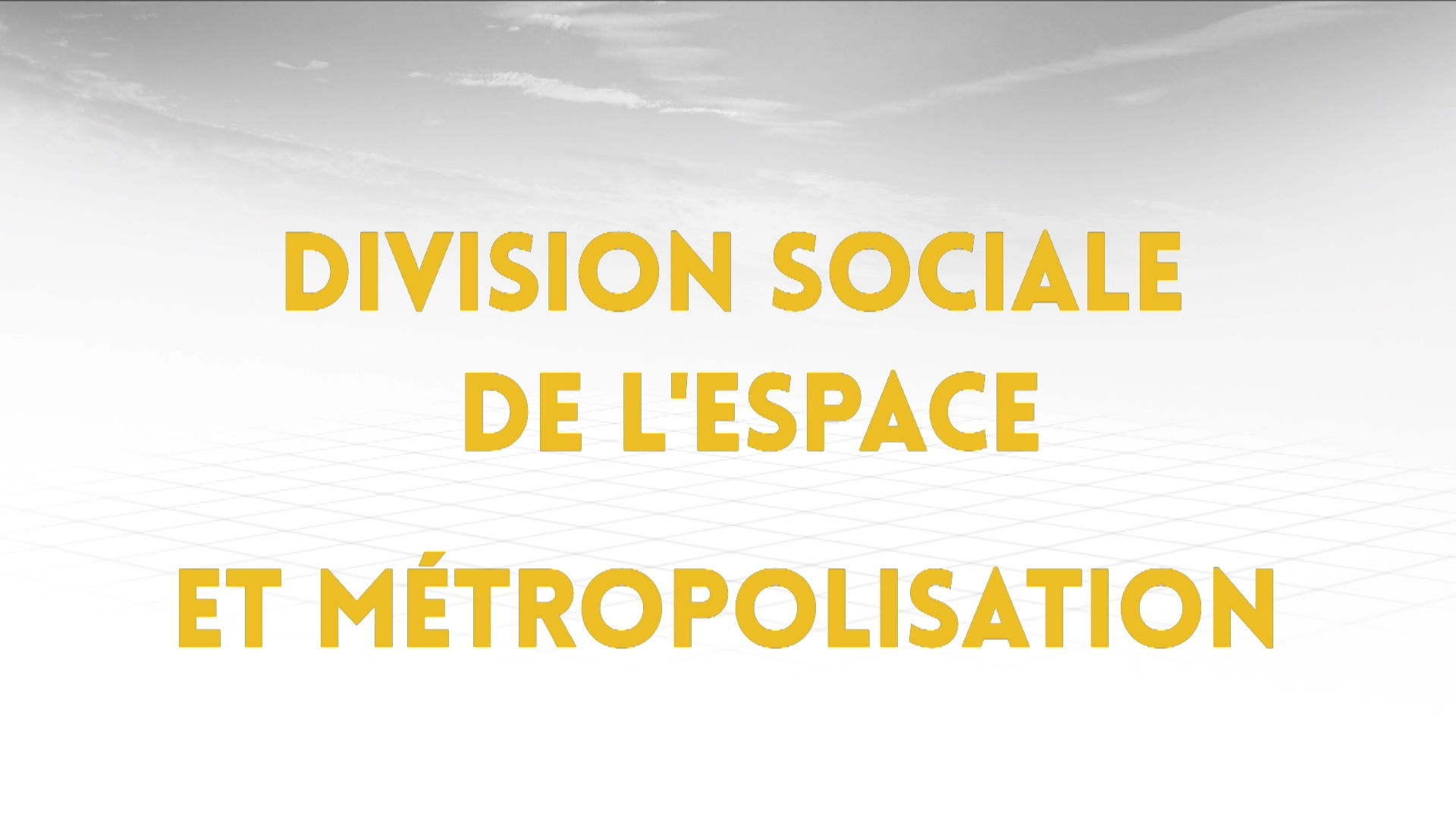 4.2 - Division sociale de l’espace et métropolisation