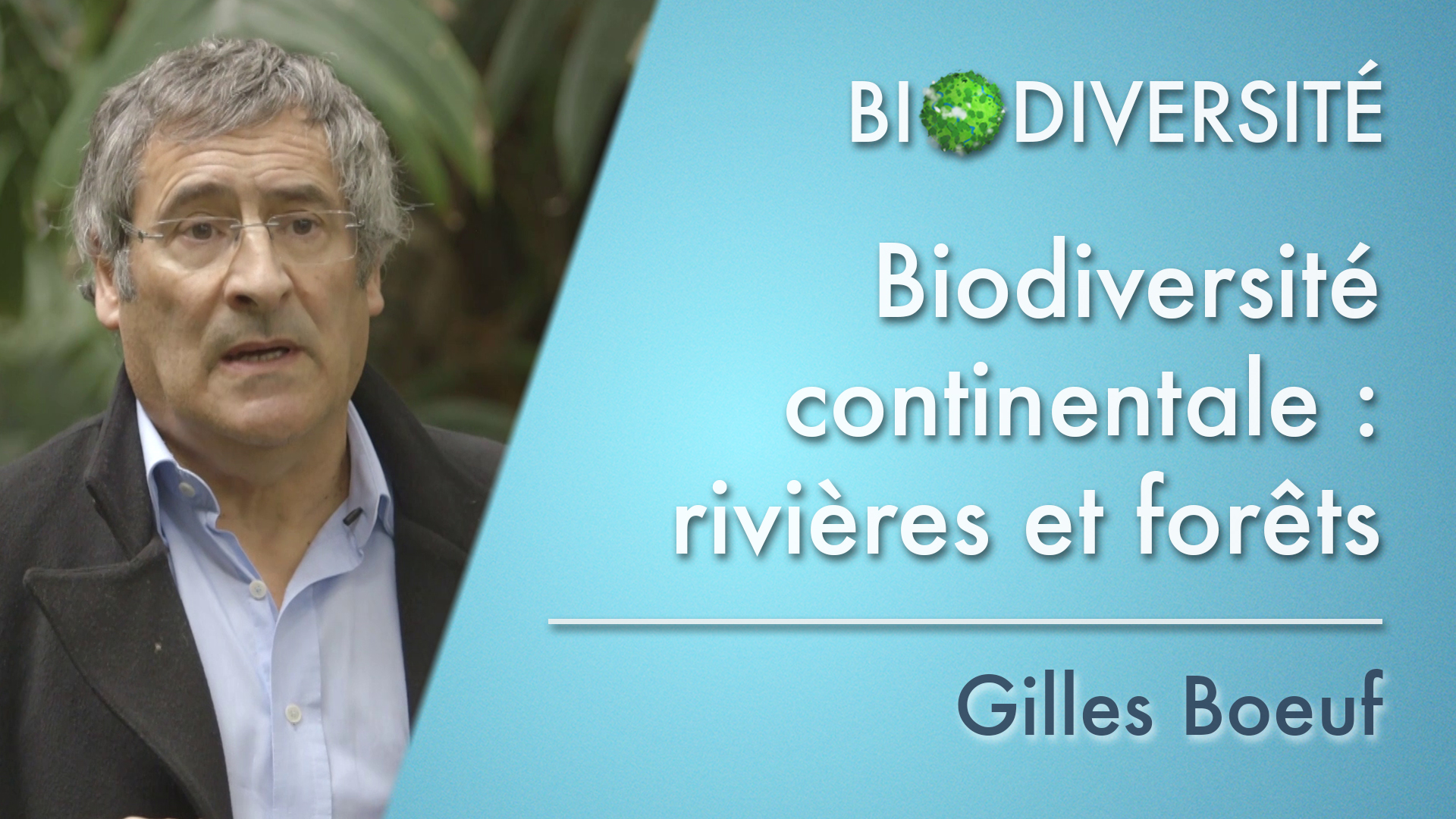 Biodiversité continentale : rivières et forêts