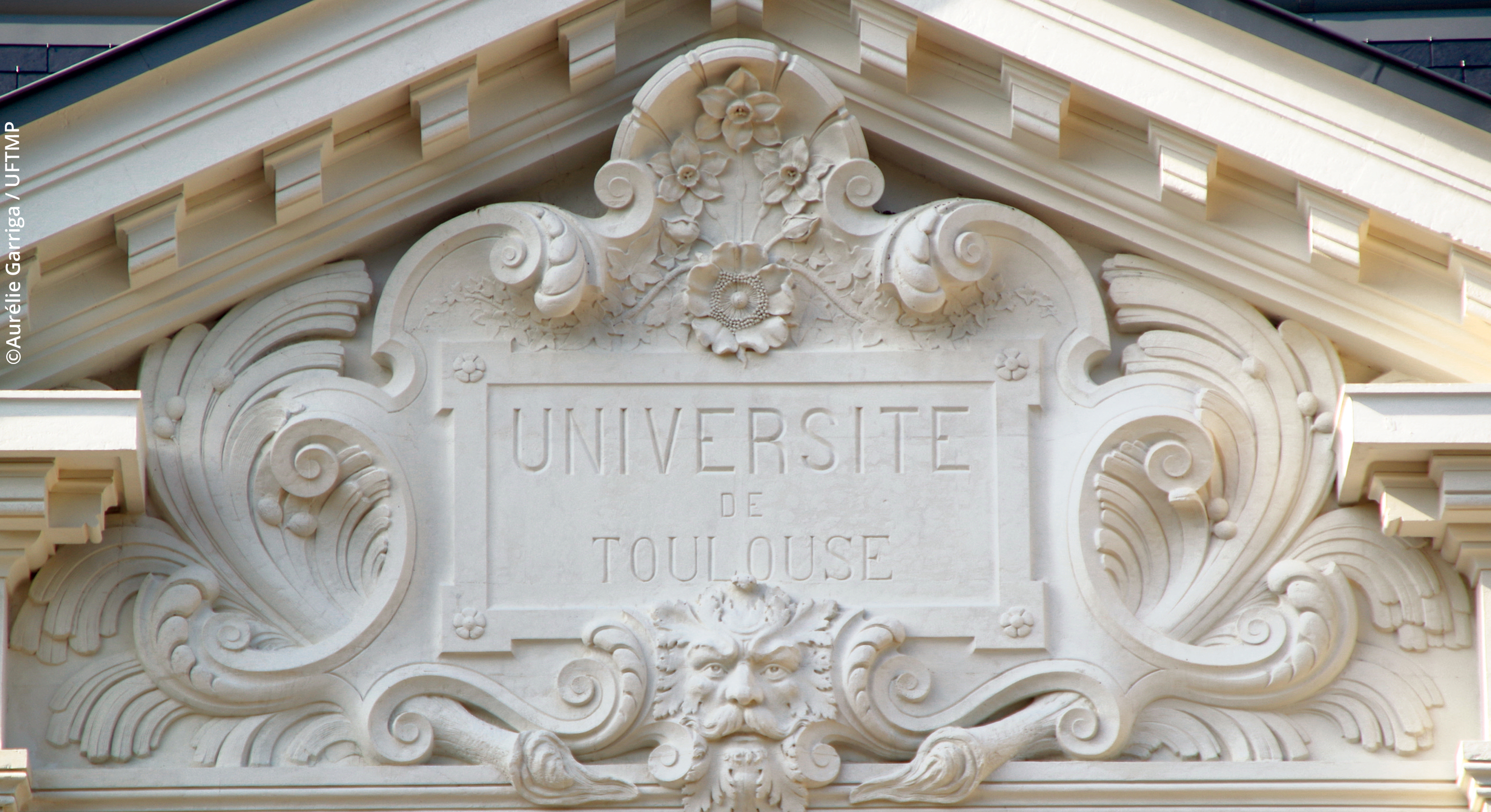 l'Université Fédérale Toulouse midi-Pyrénées