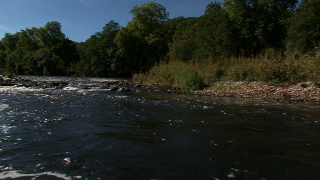 La Moselle ensauvagée (2/10) - Les dynamiques fluviales