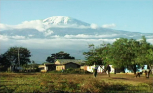 Caféicultures. Kilimanjaro, le café au bois dormant / Bernard Charlery de la Masselière