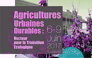 Les agricultures urbaines : une tradition ancestrale au Gabon / Nicaise Lepengue
